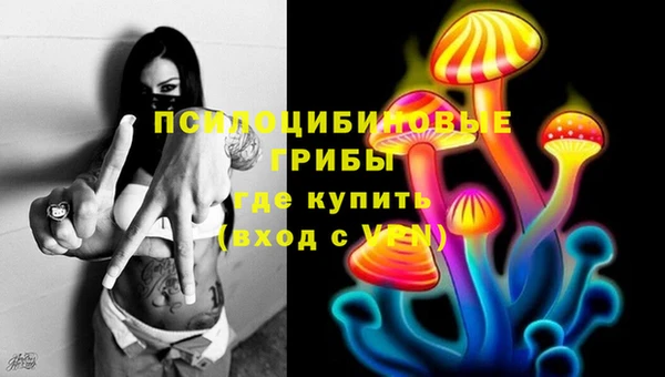 ПСИЛОЦИБИНОВЫЕ ГРИБЫ Алзамай
