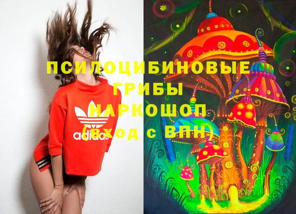 гашик Абинск