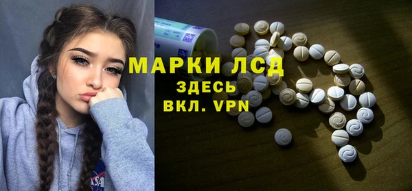 ПСИЛОЦИБИНОВЫЕ ГРИБЫ Алзамай