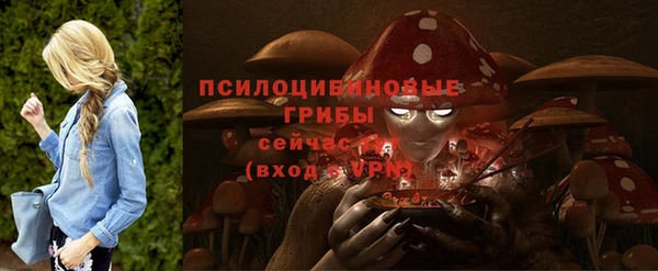 спиды Алексеевка